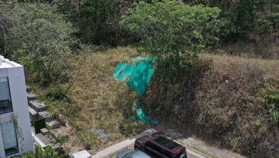 La terraza cortada y la ladera arbolada detrás